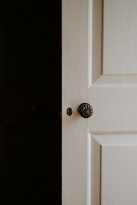 Softwood door